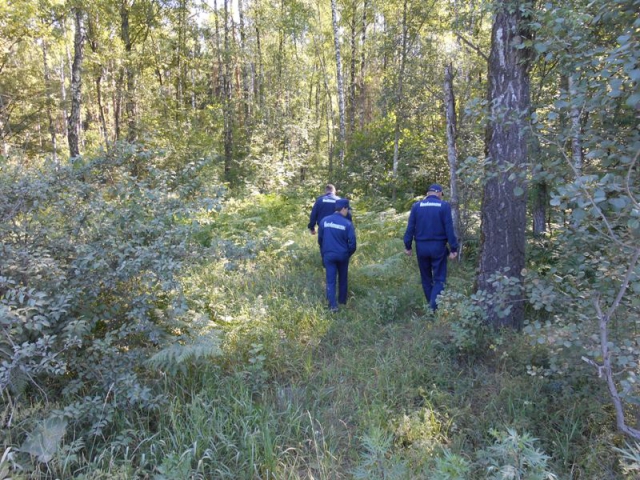 Уже 14 заблудившихся выведено из леса спасателями Подмосковья с начала года