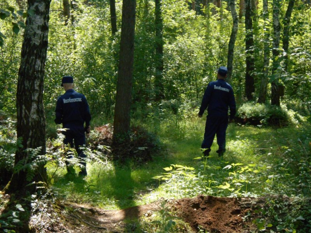 Более 30 заблудившихся вывели спасатели из лесов Московской области в 2016 году