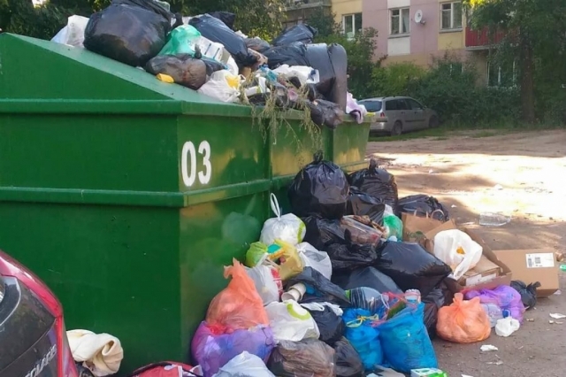 Договоры на вывоз мусора в Рузском округе заключили 60% СНТ