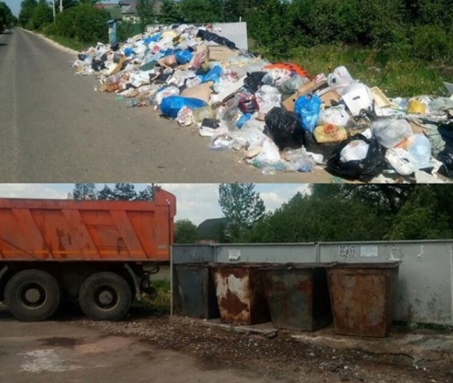 Проблему с вывозом мусора в Рузском округе планируют решить в течение двух недель
