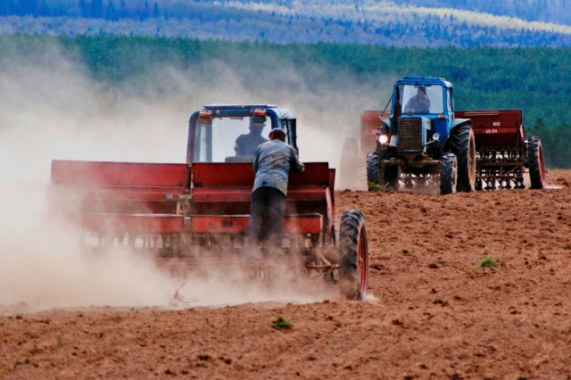 Проведение уборочных сельхозработ аграрии Подмосковья обсудят на совещании в четверг