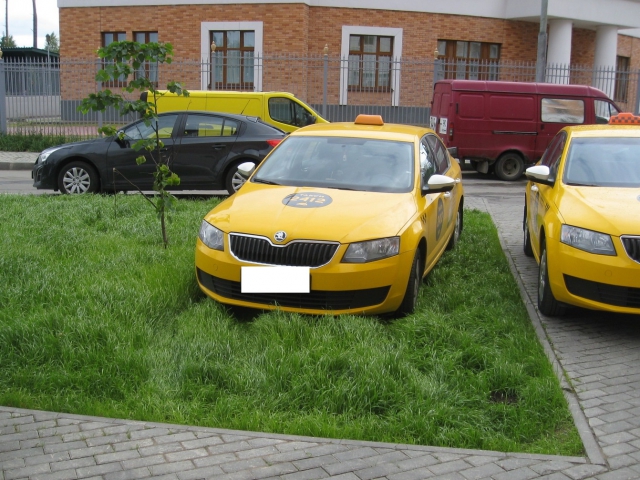 Более 260 граждан попросили защитить газоны от автомобилей