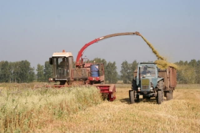 35 тысяч тонн кормов заготовлено в Рузском городском округе