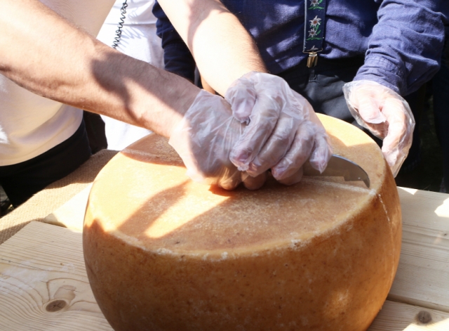 Губернатор отметил рост интереса к производству сыров в Подмосковье