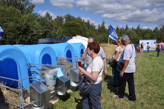 Фестиваль «Молочная река» состоится в Рузском округе 11 августа