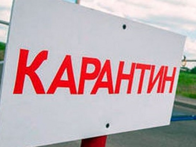Карантин по бешенству объявлен в чертах Сафонихи и Новотеряево