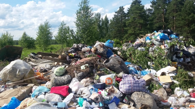 Более 50 несанкционированных навалов мусора ликвидировали в Рузском городском округе