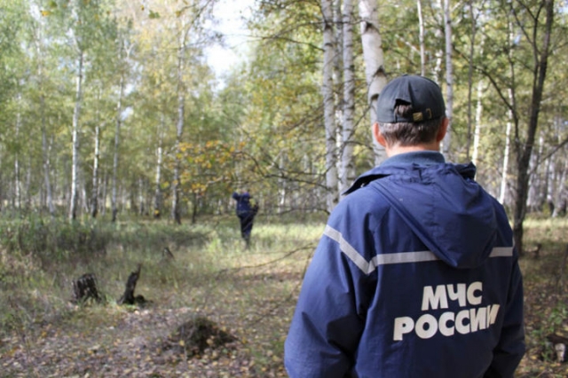 В Рузском округе спасли заблудившуюся в лесу местную жительницу