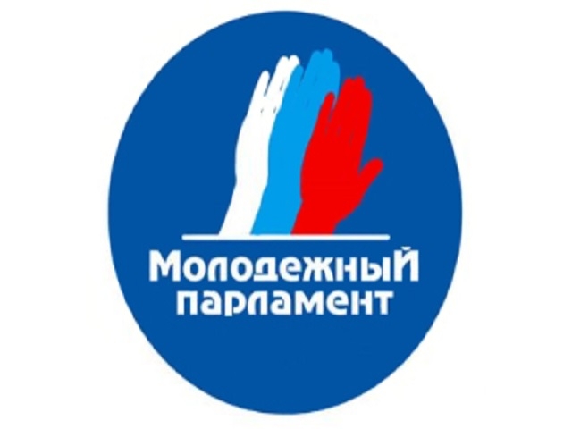Выборы в молодёжный парламент Рузского городского округа пройдут 29 ноября