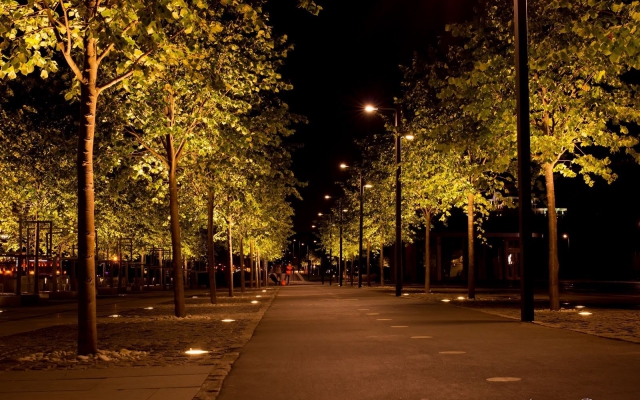 В Московской области с начала года установлено и модернизировано почти 15 тысяч энергоэффективных уличных светильников