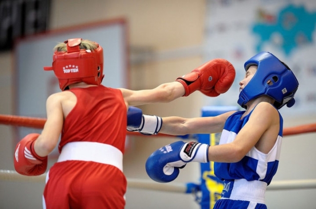 Боксеры из Рузского округа заняли призовые места на межрегиональном турнире
