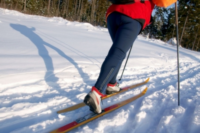 Для лыжников в Рузском округе оборудуют трассы