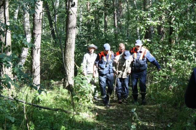 Более 100 заблудившихся вывели из леса спасатели Московской области с начала 2016 года