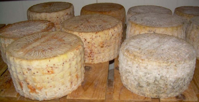 Более десяти тонн опасного для здоровья сыра обнаружили в Рузе