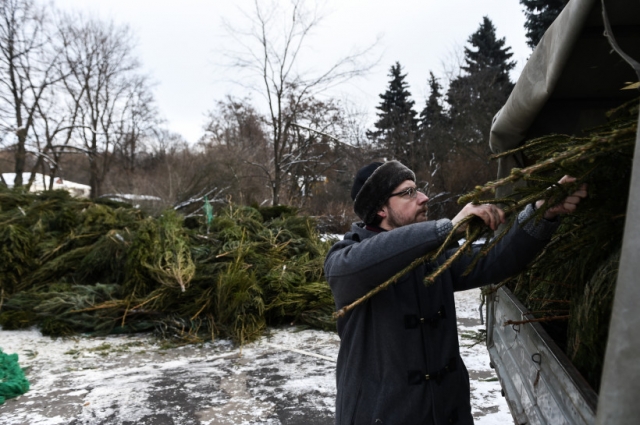 Для приема новогодних елок откроют 90 пунктов во всех крупных городах Подмосковья