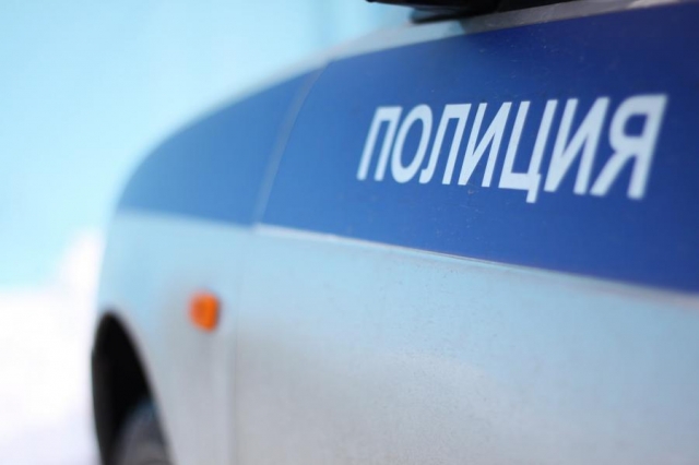 В Рузе полицейские задержали грабителей 