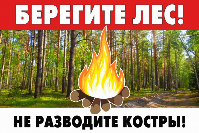 Ружанам напоминают об ответственности за нарушение правил пожарной безопасности в лесу