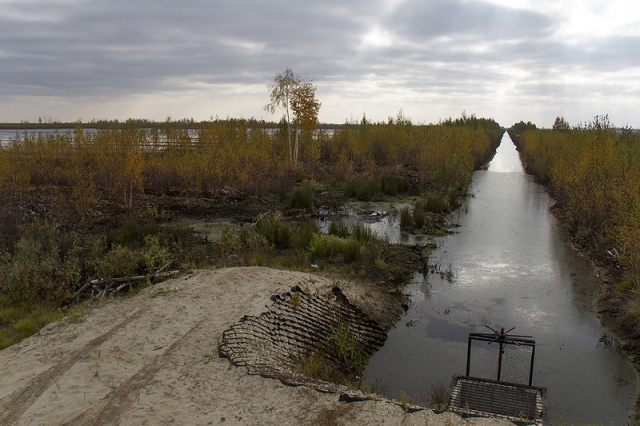 Систему обводнения торфяников Московской области готовят к зиме