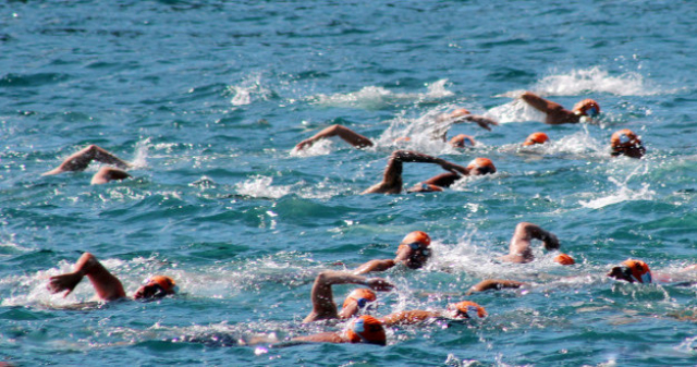 Соревнования по плаванию на открытой воде «Кубок чемпионов» пройдут в Рузском округе