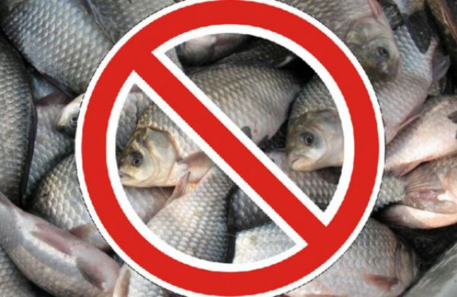 В Рузском округе усилят меры по охране рыбных запасов