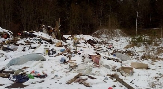 Полигон бытовых отходов закрыли в Рузском районе - Радио 1