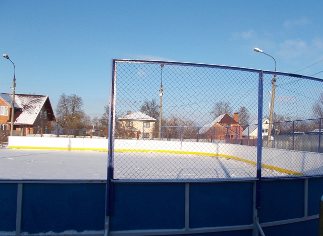 Госадмтехнадзор проверил хоккейные площадки в Коломенском районе