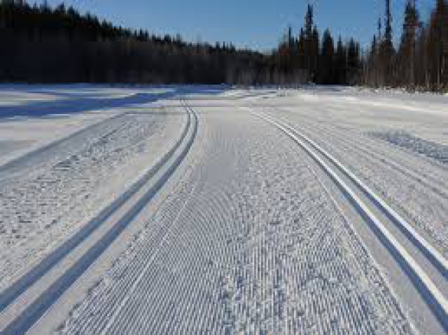 Соревнования по лыжным гонкам на призы С.В. Нагейкиной пройдут в Рузском городском округе