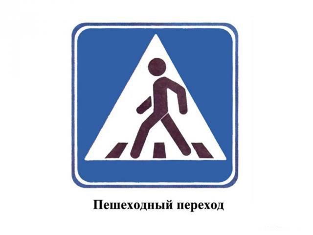 Оперативно-профилактическое мероприятие «Пешеходный переход» проходит в Московской области