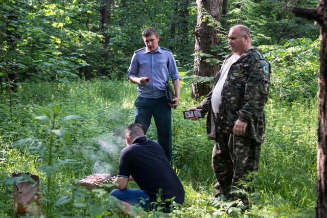 «Пикниковый сезон» в лесах Московской области начался спокойно