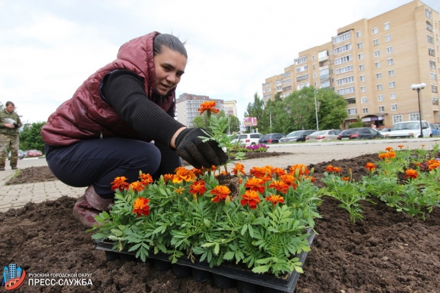 58 тысяч цветов высадили в Рузском округе