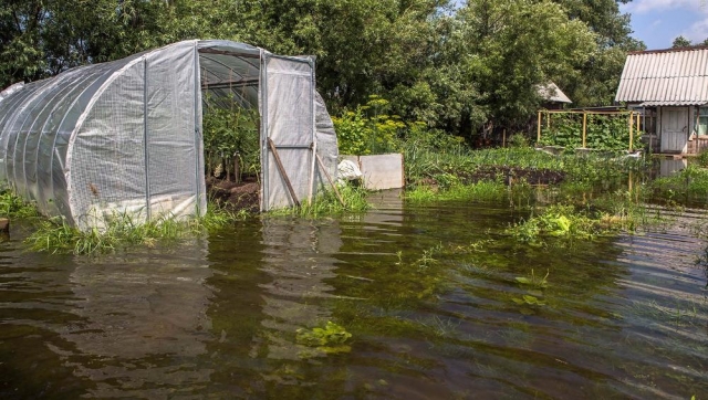 В Рузском городском округе затопило два садовых товарищества
