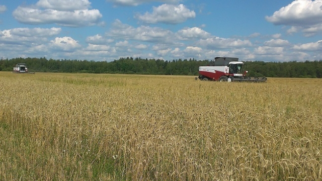 Положительную тенденцию развития сельскохозяйственной отрасли удалось сохранить в Рузском муниципальном районе