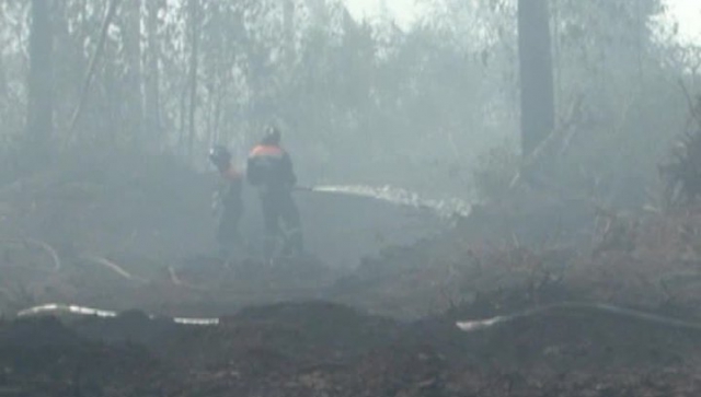 Сжигание порубочных остатков запретили в Подмосковье в четверг