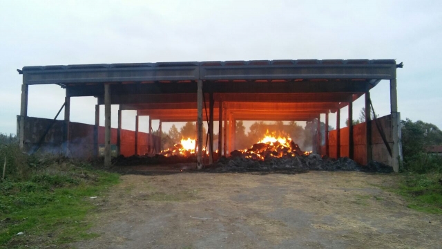 309 стогов сена сгорело в Рузском округе из-за шалости детей