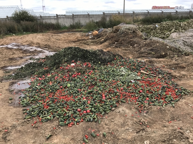 50 кубометровую свалку из овощей выявил Госадмтехнадзор в Одинцовском районе