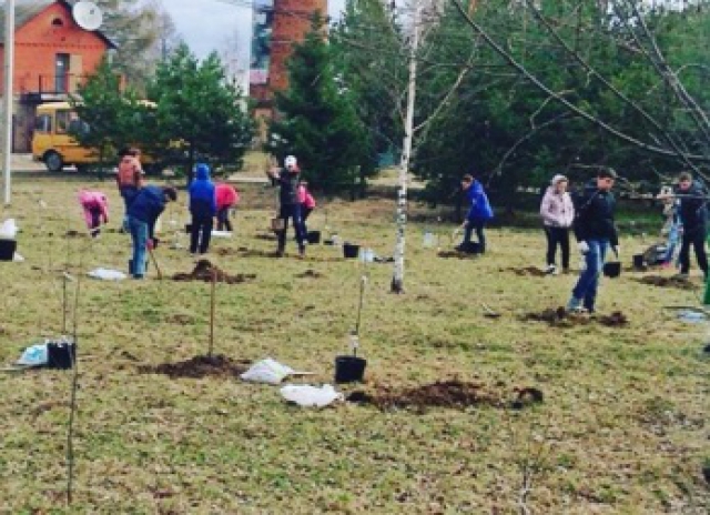 Колюбакинские школьники посадили яблоневый сад