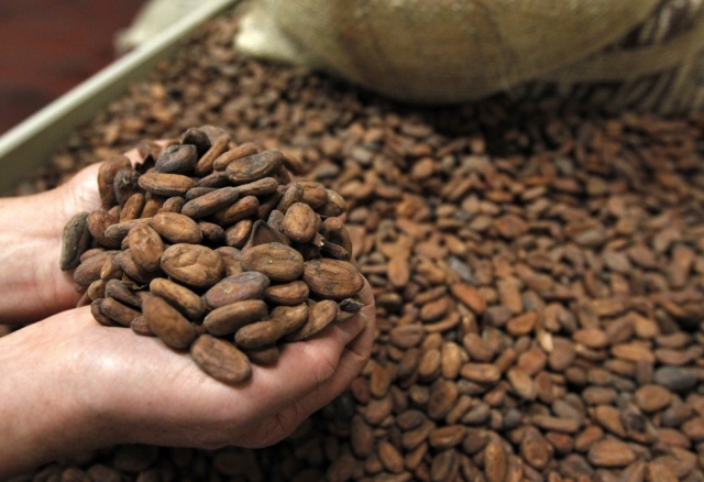 Какао и шоколадную пасту будут производить в Рузском округе