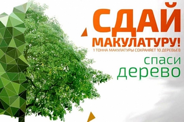 С 16 ноября проходит акция «Сдай макулатуру – Спаси дерево!» 