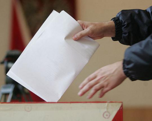 Предварительное голосование стартовало в Рузском районе