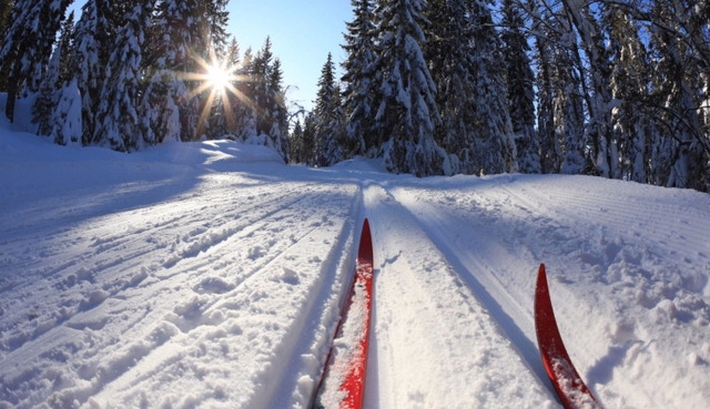 Максим Тарханов: «Около 400 человек приняли участие в турнире по лыжным гонкам в Рузском округе»