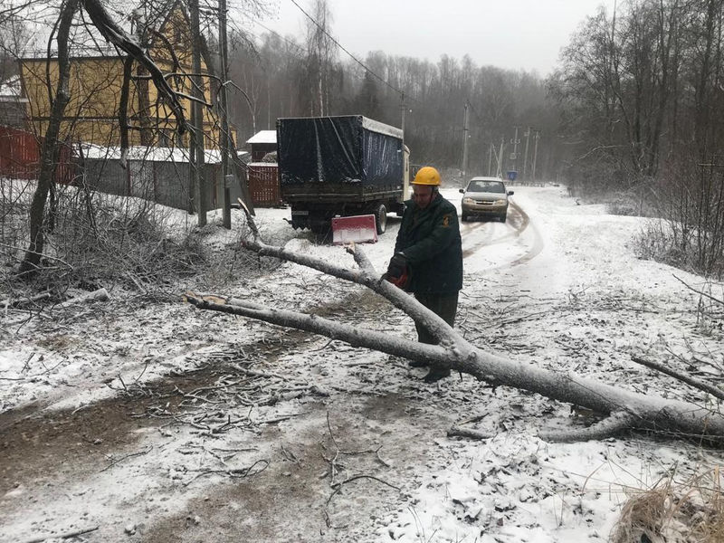 Лесничие помогают справиться с последствием штормового ветра жителям Рузского округа