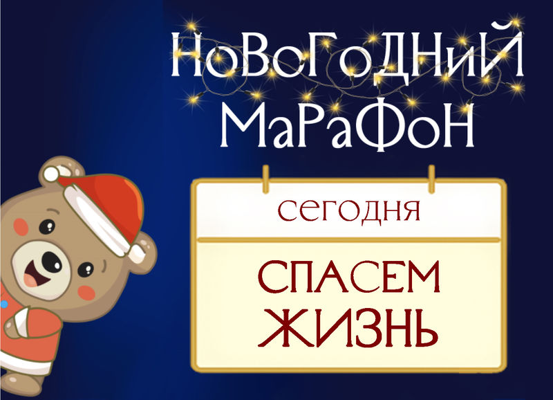 Ружан информируют о новогоднем «Календаре добра»