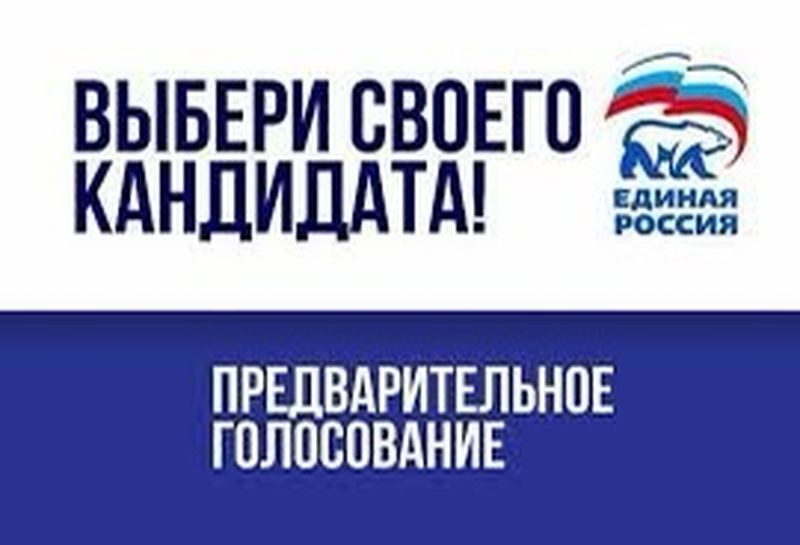 «Единая Россия» запустила процедуру предварительного голосования