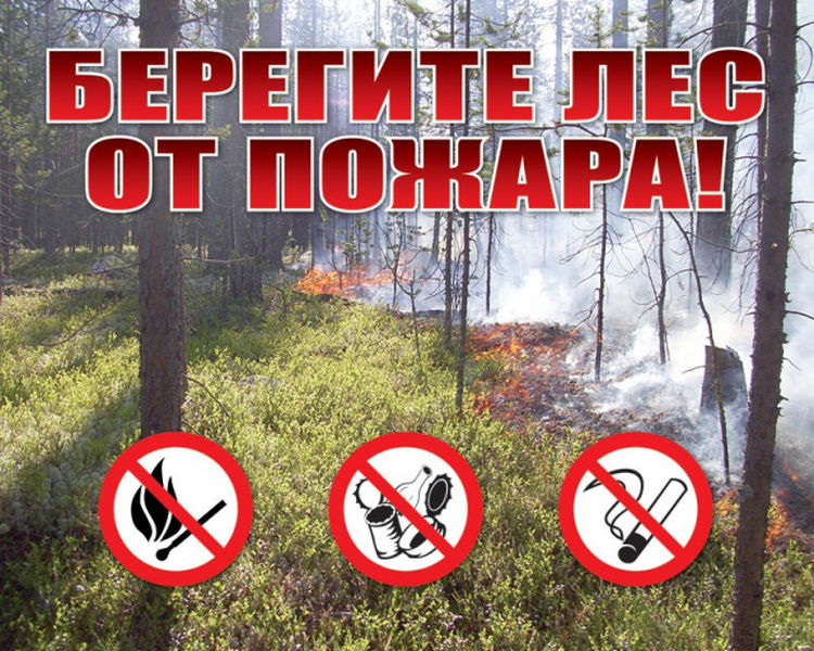 Ружанам напоминают правила противопожарной безопасности в лесу