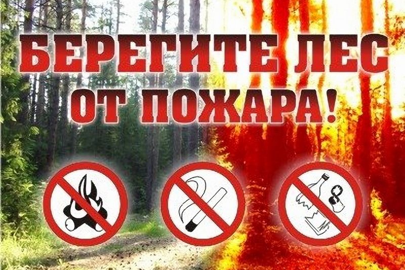 Ружан призывают соблюдать правила пожарной безопасности в лесу