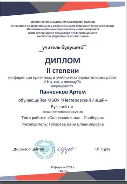 Нестеровские лицеисты отмечены дипломами региональной конференции