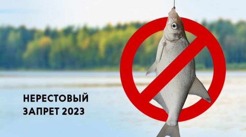 Жителям Рузского городского округа – о запрете ловли рыб