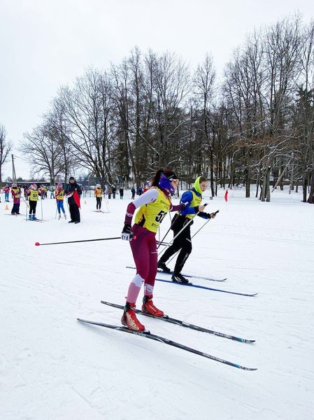 В Никольском соревновались лыжники