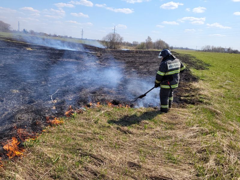 Ружан предупреждают о недопустимости сжигания сухой травы