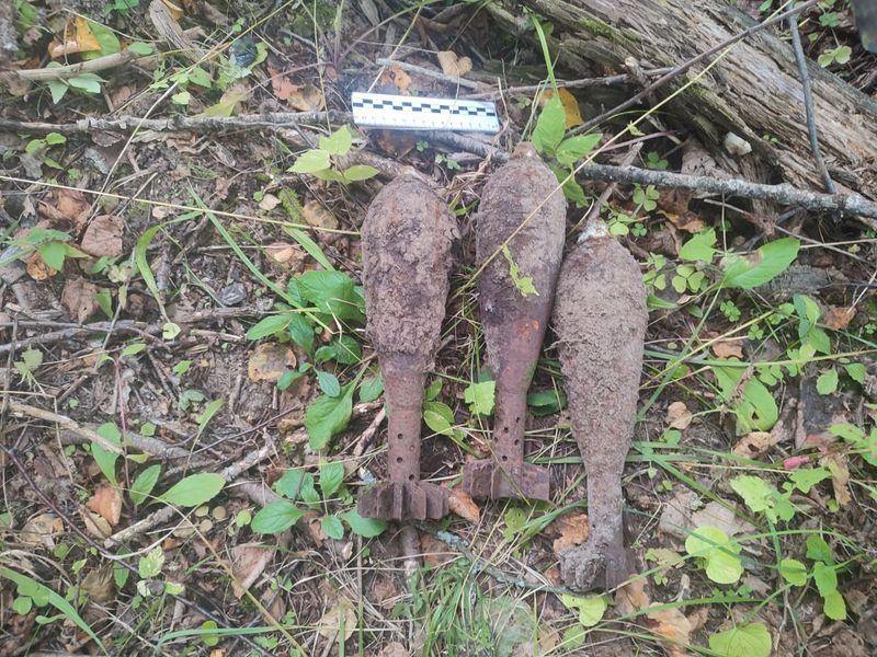 Работники ГКУ МО «Мособлпожспас» обезвредили три минометные мины времен ВОВ в Рузском городском округе  
